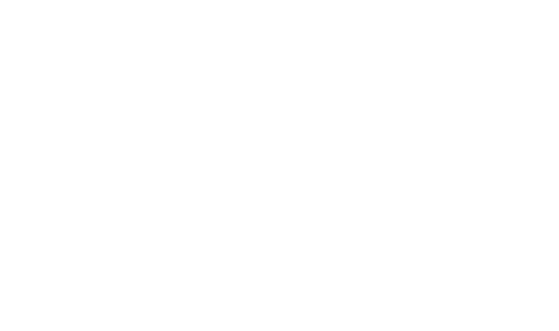 Logo Sertisoft blanco vert